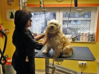 /album/fotogalerie/a3-jpg/