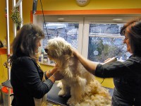 /album/fotogalerie/a4-jpg/