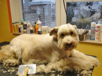 /album/fotogalerie/a5-jpg/