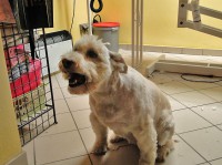 /album/fotogalerie/a6-jpg/