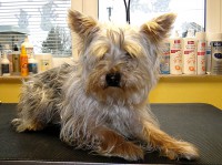 /album/fotogalerie/a7-jpg/