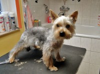 /album/fotogalerie/a8-jpg/