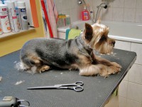 /album/fotogalerie/a9-jpg/