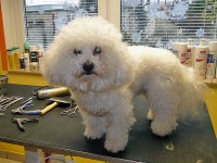 /album/fotogalerie/a10-jpg/