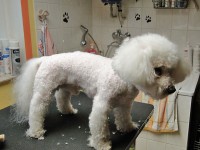 /album/fotogalerie/a11-jpg/